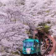 ヒメ日記 2025/04/11 09:21 投稿 ゆずは 大宮おかあさん