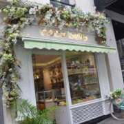 ヒメ日記 2025/04/17 09:41 投稿 ゆずは 大宮おかあさん