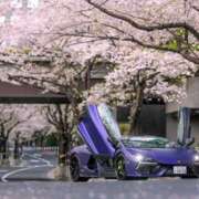 ヒメ日記 2025/04/19 09:41 投稿 ゆずは 大宮おかあさん