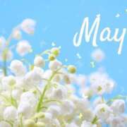 ヒメ日記 2025/05/07 11:41 投稿 ゆずは 大宮おかあさん