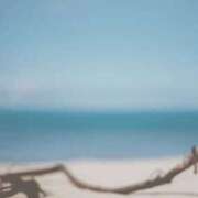 ヒメ日記 2025/05/15 10:21 投稿 ゆずは 大宮おかあさん