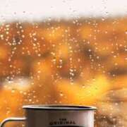 ヒメ日記 2025/05/30 13:21 投稿 ゆずは 大宮おかあさん