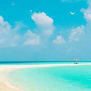 ヒメ日記 2025/08/26 10:14 投稿 ゆずは 大宮おかあさん