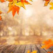 ヒメ日記 2025/09/09 10:26 投稿 ゆずは 大宮おかあさん