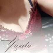 ヒメ日記 2025/12/24 09:46 投稿 ゆずは 大宮おかあさん