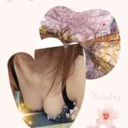 ヒメ日記 2026/03/28 09:20 投稿 ゆずは 大宮おかあさん