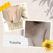 ヒメ日記 2026/04/11 09:16 投稿 ゆずは 大宮おかあさん