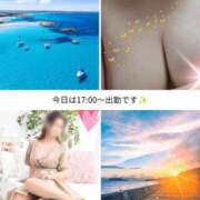 ヒメ日記 2026/07/12 12:46 投稿 ゆずは 大宮おかあさん