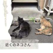 ヒメ日記 2026/07/14 12:06 投稿 ゆずは 大宮おかあさん