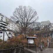 ヒメ日記 2025/04/02 16:00 投稿 あかり BLACK LABEL R's