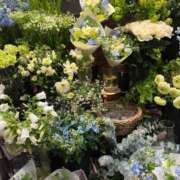 ヒメ日記 2025/04/04 14:52 投稿 あかり BLACK LABEL R's