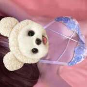 ヒメ日記 2025/06/29 16:21 投稿 ゆき マリン土浦本店