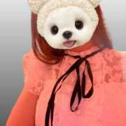 ヒメ日記 2025/08/09 08:51 投稿 ゆき マリン土浦本店