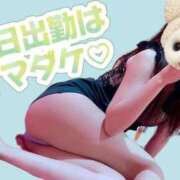 ヒメ日記 2025/08/12 13:02 投稿 ゆき マリン土浦本店