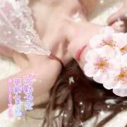 恋　こころ【奥様】 来週の出勤予定♡ ご予約について♡ isai～愛妻