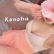 ヒメ日記 2026/03/03 15:07 投稿 二ノ宮このは FROG SPA(フロッグスパ)