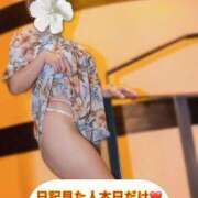 ヒメ日記 2026/06/03 09:19 投稿 れみ 迷宮の人妻 古河・久喜発