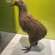 ヒメ日記 2025/01/29 21:31 投稿 ももこ 無敵YOKOHAMA