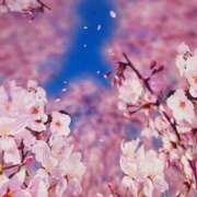 ヒメ日記 2025/04/08 22:32 投稿 ももこ 無敵YOKOHAMA