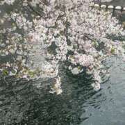 ヒメ日記 2025/04/10 21:36 投稿 ももこ 無敵YOKOHAMA