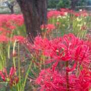 ヒメ日記 2025/09/27 23:47 投稿 ももこ 無敵YOKOHAMA