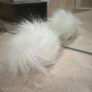 ヒメ日記 2025/10/25 23:06 投稿 ももこ 無敵YOKOHAMA