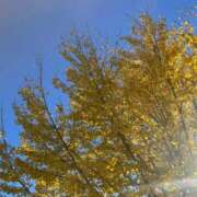 ももこ ただいま🍁 無敵YOKOHAMA