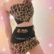 ヒメ日記 2025/11/01 21:18 投稿 モミジ 千葉美女革命