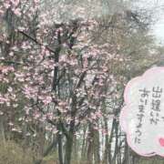 ヒメ日記 2025/04/02 10:47 投稿 みずな 埼玉西川口ショートケーキ（シンデレラグループ）