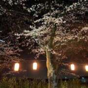 ヒメ日記 2025/04/16 00:10 投稿 みずな 埼玉西川口ショートケーキ（シンデレラグループ）