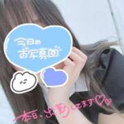 ヒメ日記 2025/05/24 08:52 投稿 みずな 埼玉西川口ショートケーキ（シンデレラグループ）