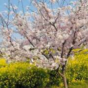 ヒメ日記 2026/04/08 08:56 投稿 みずな 埼玉西川口ショートケーキ（シンデレラグループ）