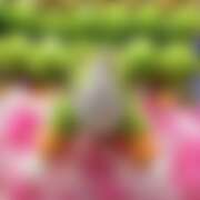 ヒメ日記 2025/10/30 12:00 投稿 ちか 神田ハンドメイド