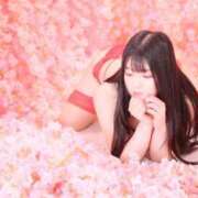 ヒメ日記 2025/04/10 12:18 投稿 あい★UL対応 Blue Moon