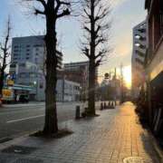 ヒメ日記 2025/02/23 08:27 投稿 天野みれい Picasso(ピカソ)