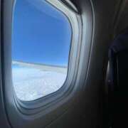 ヒメ日記 2025/03/16 07:26 投稿 天野みれい Picasso(ピカソ)