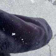 ヒメ日記 2025/03/17 06:56 投稿 天野みれい Picasso(ピカソ)