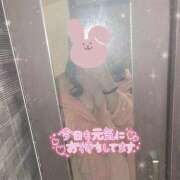 ヒメ日記 2025/03/18 10:31 投稿 天野みれい Picasso(ピカソ)