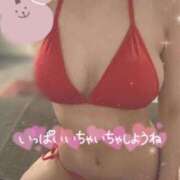 ヒメ日記 2025/04/15 13:56 投稿 天野みれい Picasso(ピカソ)