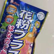 ヒメ日記 2025/04/18 08:17 投稿 天野みれい Picasso(ピカソ)