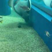 ヒメ日記 2025/07/15 10:21 投稿 天野みれい Picasso(ピカソ)