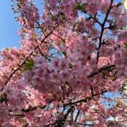 ヒメ日記 2025/03/03 10:47 投稿 ひろみ 完熟ばなな 立川