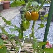 ヒメ日記 2025/06/18 10:07 投稿 ひろみ 完熟ばなな 立川