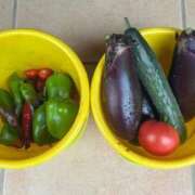 ヒメ日記 2025/08/16 09:51 投稿 ひろみ 完熟ばなな 立川