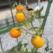 ヒメ日記 2025/08/28 10:17 投稿 ひろみ 完熟ばなな 立川