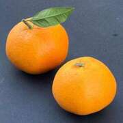 ひろみ おはようございます 完熟ばなな 立川