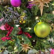 ヒメ日記 2025/12/24 10:27 投稿 ひろみ 完熟ばなな 立川