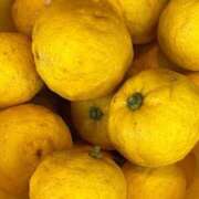 ひろみ おはようございます 完熟ばなな 立川