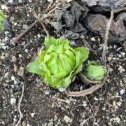 ヒメ日記 2026/02/21 10:17 投稿 ひろみ 完熟ばなな 立川