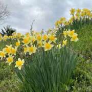 ヒメ日記 2026/04/02 10:07 投稿 ひろみ 完熟ばなな 立川